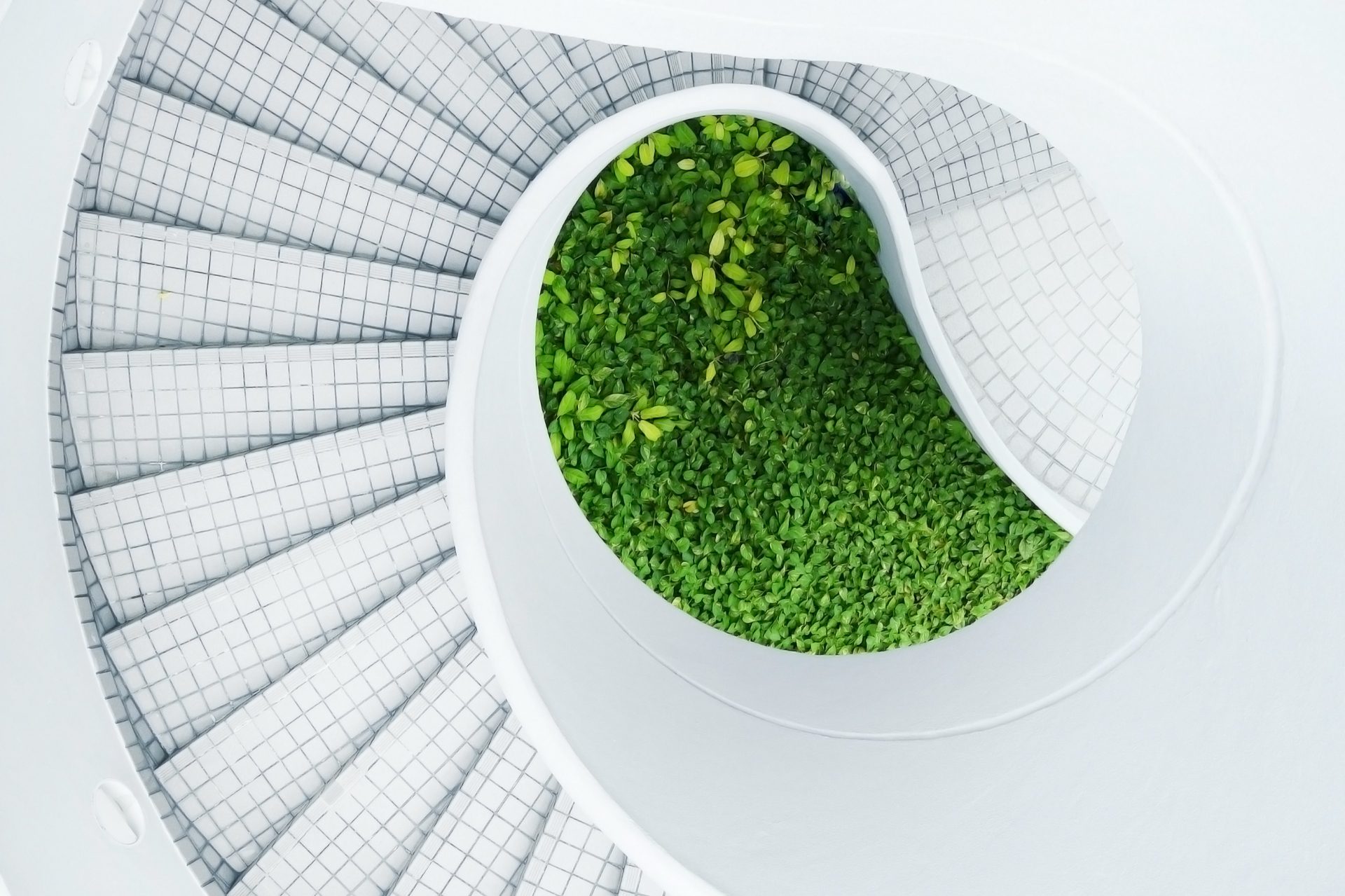 Cropped Plant White Leaf Spiral Staircase Spiral Staircase 123911 Pxhere Com 1 1